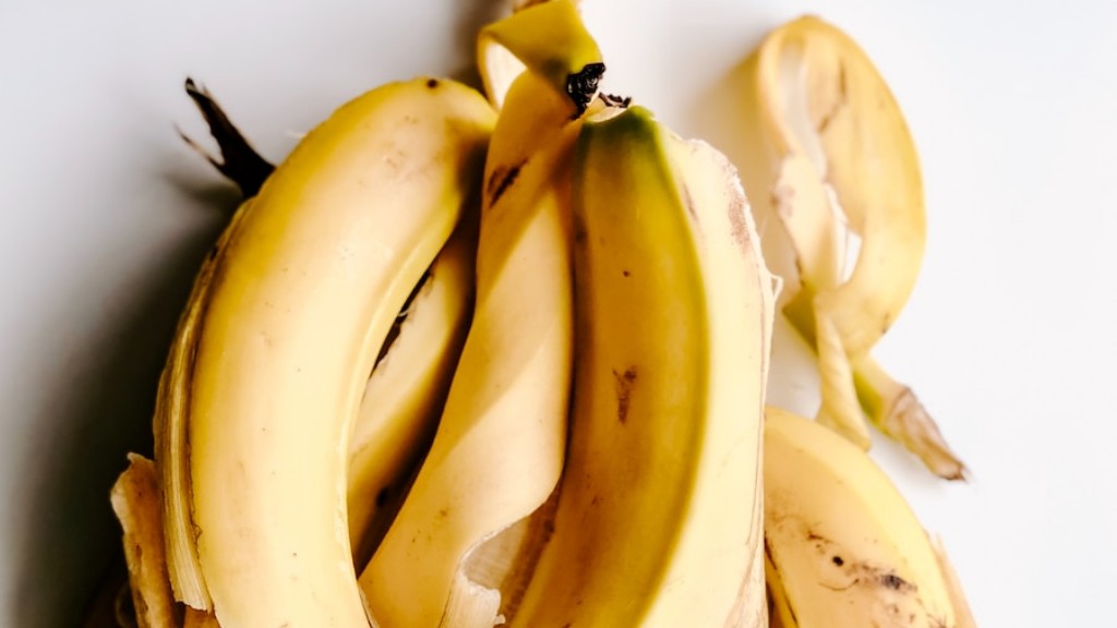 How To Take Care Of Banana Plant