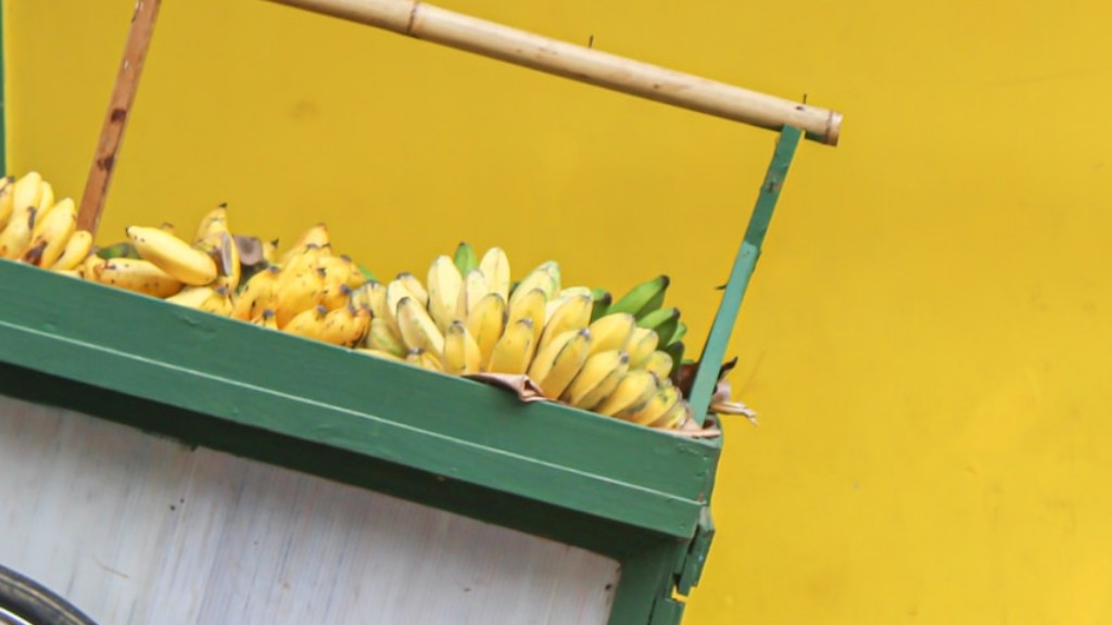 How To Take Care Of Banana Plant