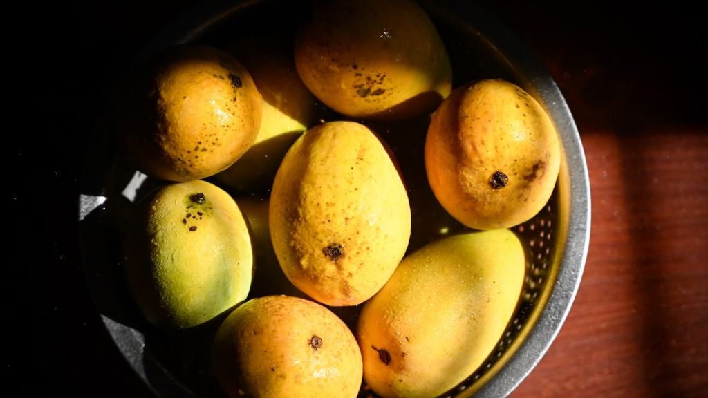 Qué Enfermedades Cura La Hoja De Mango